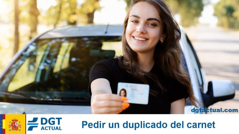 Pedir Un Duplicado Del Carnet De Conducironline