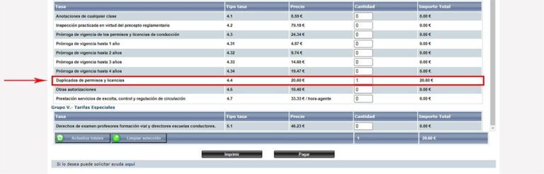 Pedir Un Duplicado Del Carnet De Conducironline